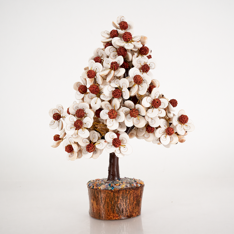 Gomati Chakra Tree with Rudraksham