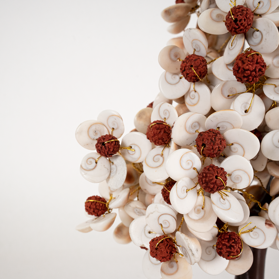 Gomati Chakra Tree with Rudraksham